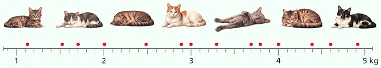 Weights of cats