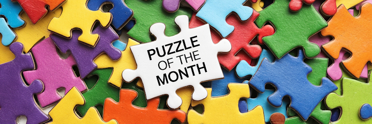 Puzzle of the Month about a jigsaw puzzle
