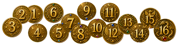 Solvitude Festival Coins