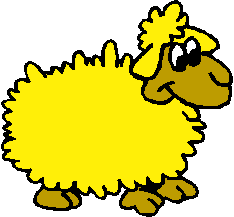 Sheep