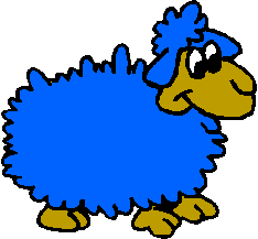 Blue Sheep