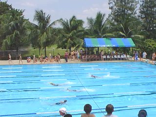 Swimming Gala